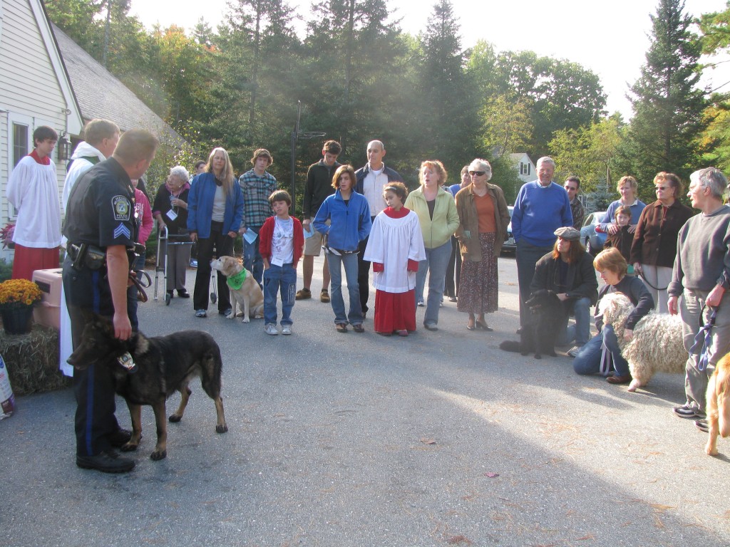 A great turn-out of human animals came for the blessing.